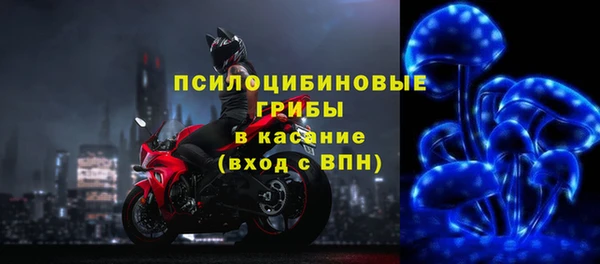 трава Армянск