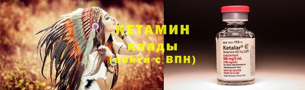 крисы Аркадак