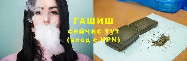 стаф Арсеньев
