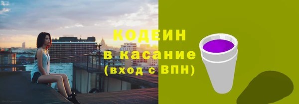 шишки Нягань