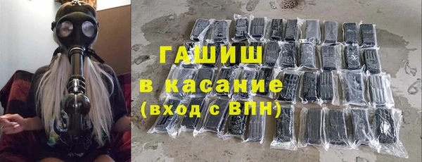 стаф Арсеньев