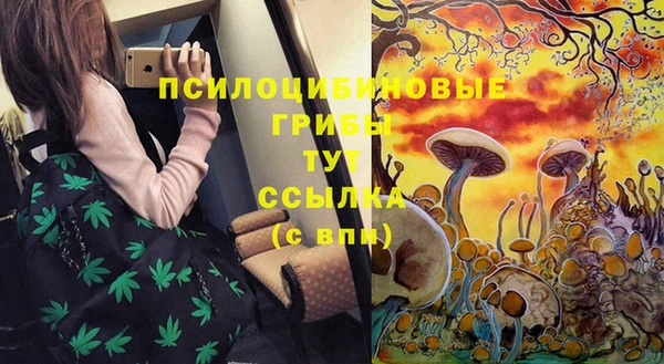 стаф Арсеньев