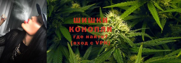 стаф Арсеньев
