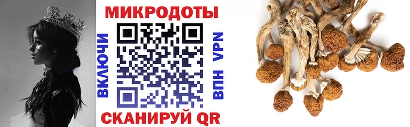 Галлюциногенные грибы MAGIC MUSHROOMS Орлов